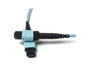 Fiber Cables Direct - Patch cable - MTP/MPO multi-mode (F) to MTP/MPO multi-mode (F) - 8 m - fiber optic - 50 / 125 micron - FCDUS362V10508