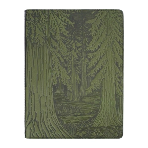 Large Portfolio, Forest