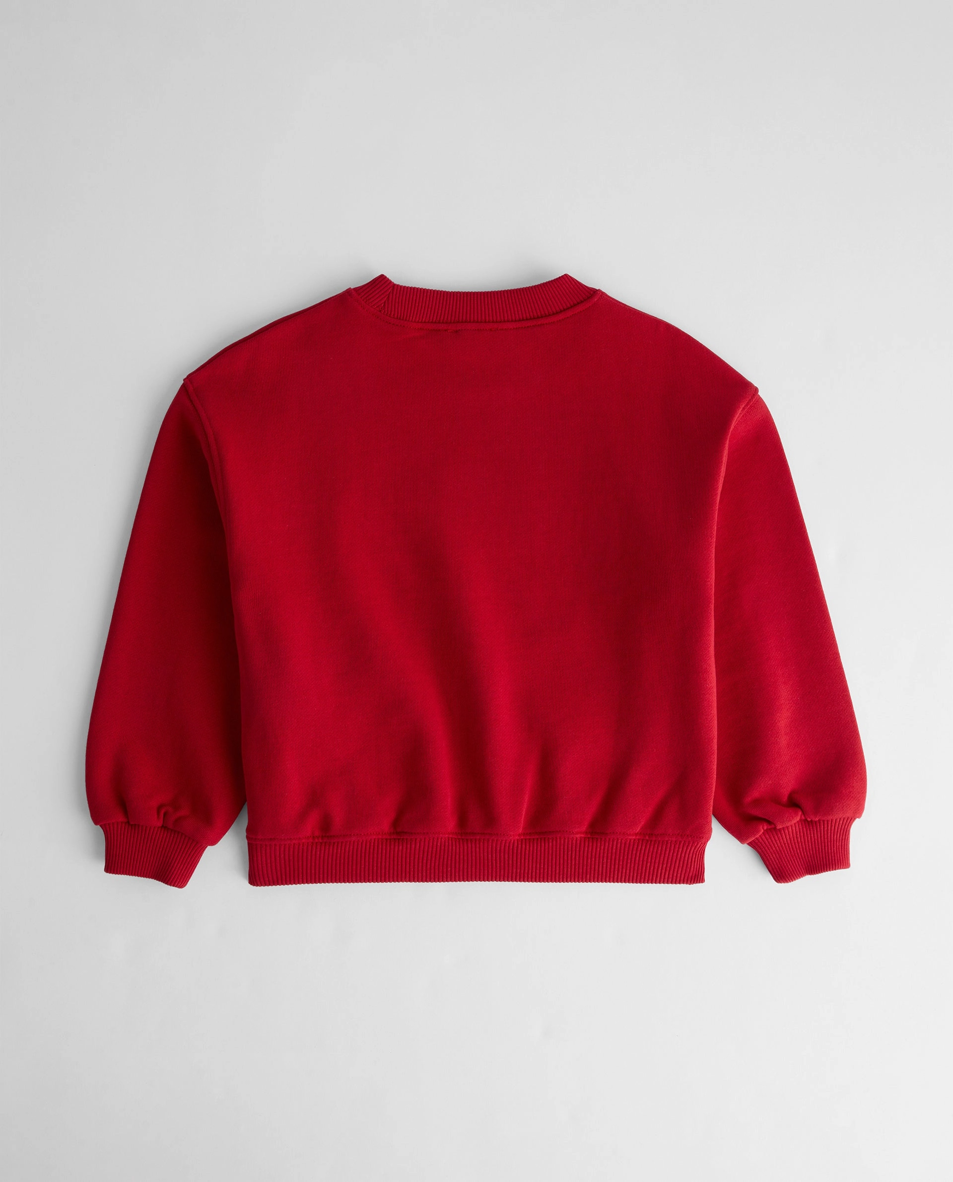 Mini ADA Sweatshirt - Classic Red