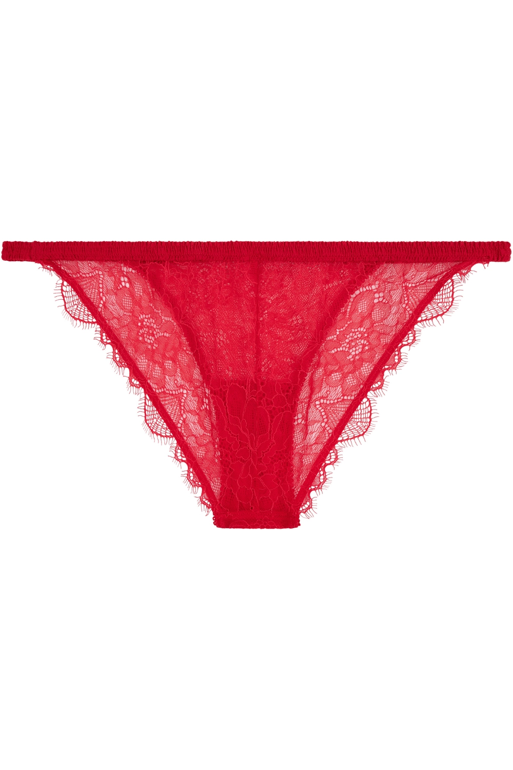 Wild Rose Brief Red